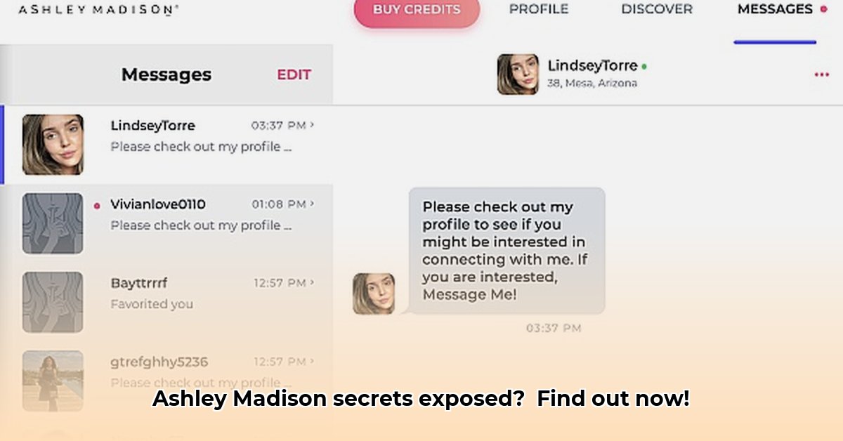 collect-message-ashley-madison